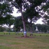 Foto Taman Sari - PTPN IV Tinjowan, Ujung Padang