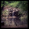 Prospect Park
