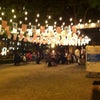Shake Shack