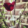 Geffrye Museum