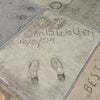Grauman's Chinese Theatre
