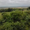 Esetce Park