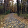 Фото Яр Отель