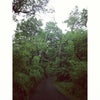 Prospect Park