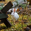 Фото Археологический музей-заповедник