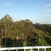 Top of the Park