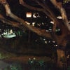 Honolulu International Airport
