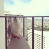 Waikiki Beach Marriott Resort & Spa