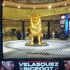 MGM Grand Hotel & Casino