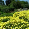 The Huntington