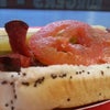 Gold Coast Dogs