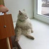 Фото ЮФУ