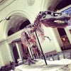 Field Museum