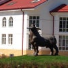 Фото Яр Отель