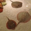Shark Reef