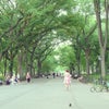 Central Park