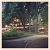 Central Park