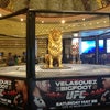 MGM Grand Hotel & Casino
