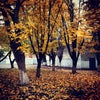 Фото ЮФУ