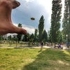Фото Арена