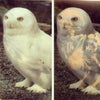 The Living Desert