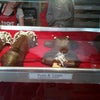 Hot Cookie