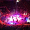 Фото Тульский Государственный Цирк