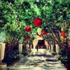 The Venetian Resort Hotel
