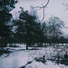 Фото ЮФУ