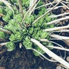 Фото Министерство по физической культуре и спорту Ростовской области