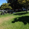 Dolores Park