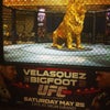 MGM Grand Hotel & Casino