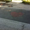 Фото ЮФУ