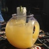 D.S. Tequila Company