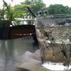 Tropics