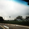 Parque Ibirapuera