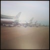 Dallas/Fort Worth International Airport (DFW)