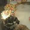 Voodoo Doughnut