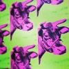 Andy Warhol Museum