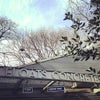 Shake Shack