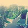 Фото Роствертол