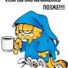 Фото ЮФУ