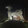 Фото Яр Отель