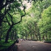 Central Park