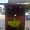 Coffee Bar