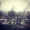 Фото ЮФУ