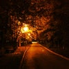 Фото ЮФУ