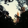 Central Park