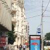 Фото ЮФУ