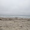 Black's Beach